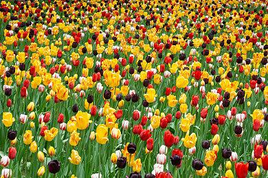 《罪恶装备：Strive》新DLC角色“蒂姬”宣布10月31日发售