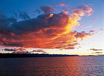 《绝地潜兵2》上海保卫战登上海《新闻综合》栏目报道