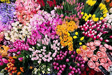 开放世界生存制作游戏《千锤百炼》Steam页面上线 发售日待定