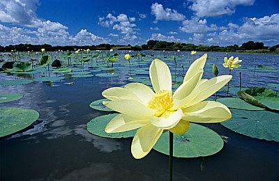 《鬼谷八荒》发布致歉声明 因审核问题不用Steam创意工坊